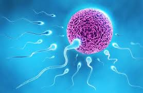 افزایش کیفیت اسپرم