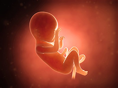 خطرات سقط عمدی جنین